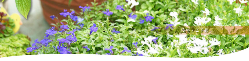 �󎺁E���\��