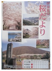 桜だより_JALAN_220324.jpg